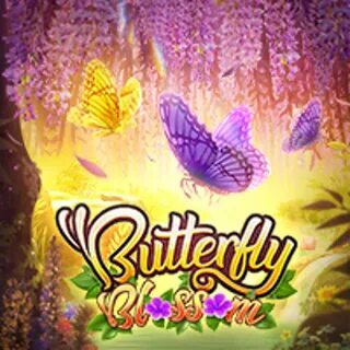 55bb bet app 