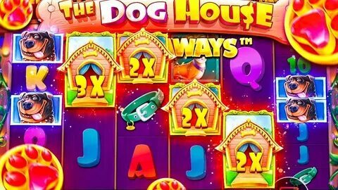 bermuda ufc 