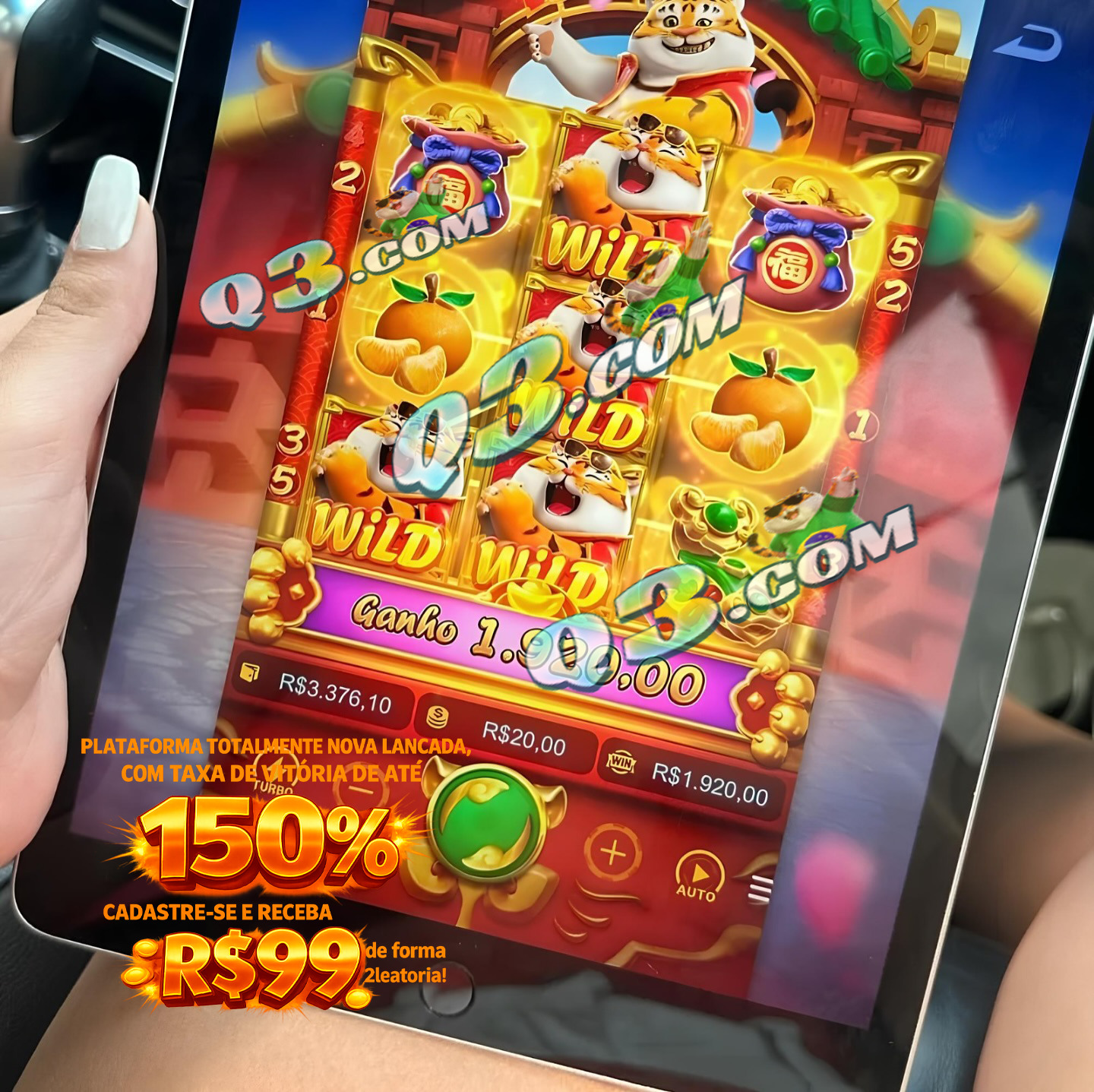fortune mouse gt win 