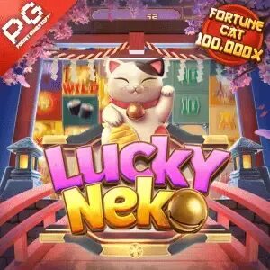 melhor horário para jogar fortune tiger de manha 