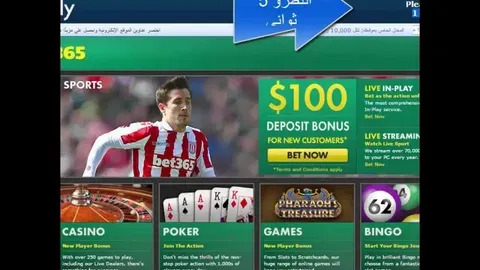 stake online casino com 